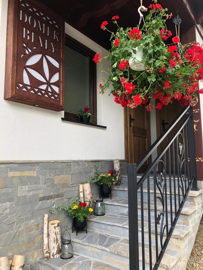 Domki Male Ciche Exterior photo
